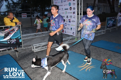 Run for Love 2024